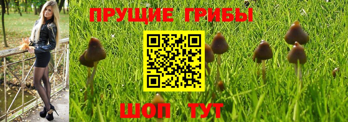 Псилоцибиновые грибы мухоморы  Вход с VPN  Зеленокумск  Галлюциногенные грибы GOLDEN TEACHER 