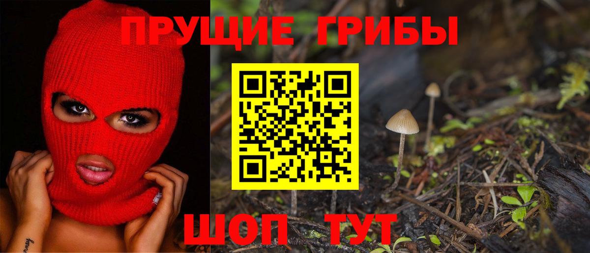 Галлюциногенные грибы прущие грибы Зеленокумск